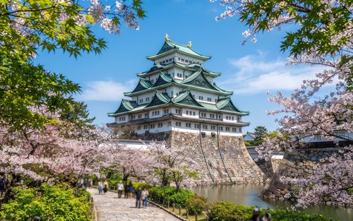 Tour privado de medio día por el Castillo de Nagoya y el Museo de Arte Tokugawa