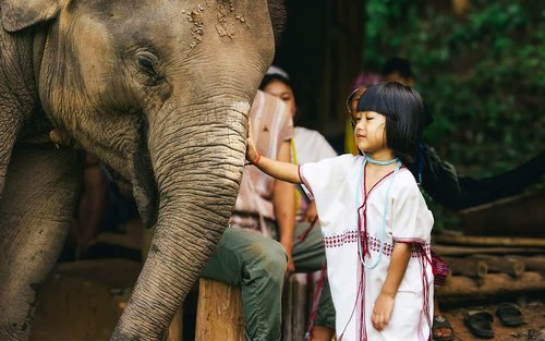 Elephant Interaction & Sticky Waterfall Full-Day Adventure