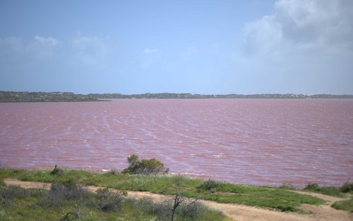 Hutt Lagoon 2-Day Tour with Chinese Guide and Scenic Photo Session