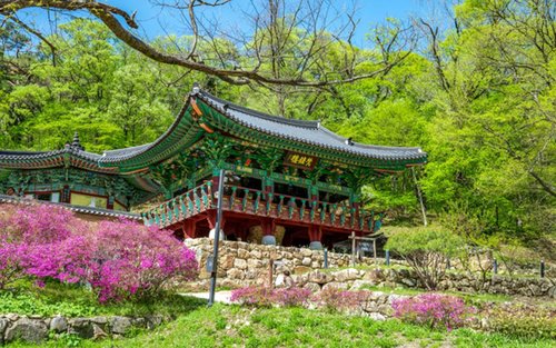 韓国の飛行ツアー（2026年）TOP10 | Klook 日本