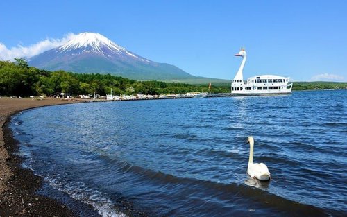 Tokyo Mt. Fuji Full-Day Private & Customizable Tour