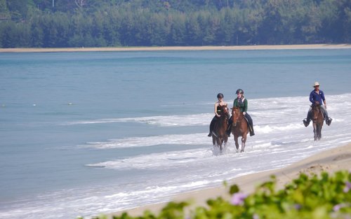 Horseback Riding Experience in Phuket