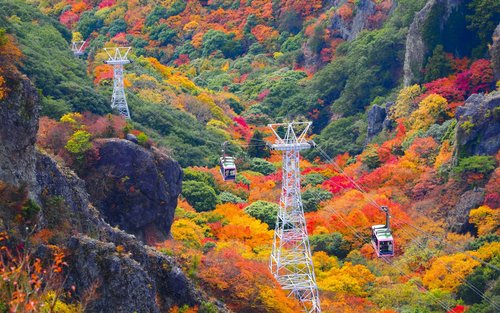 Shodoshima Autumn Leaves Full-Day Tour with Ropeway