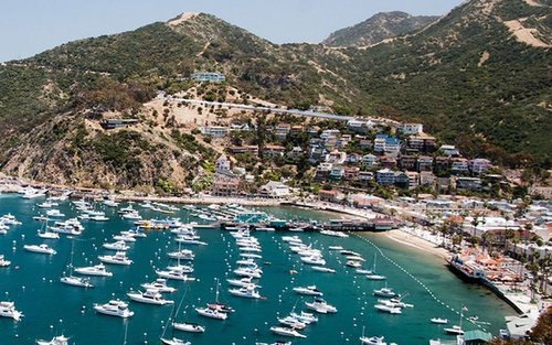 Los Angeles Catalina Island Tour mit optionalem Hin- und Rücktransfer