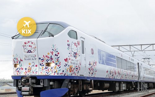 JR關西機場特快 HARUKA 車票