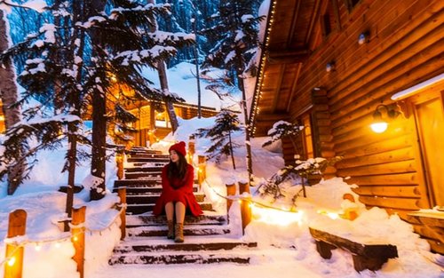 Asahiyama Zoo & Christmas Tree & Waterfall & Blue Pond or Shikisai Hill & Ningle Terrace Day Trip (Optional Snowmobile Experience)