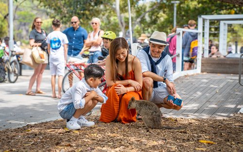 罗特尼斯岛 (Rottnest Island) 渡轮接送