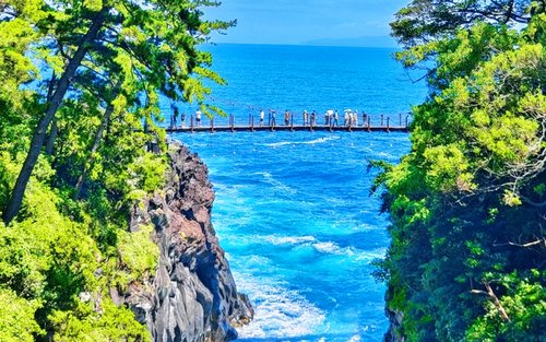 Top 10 Izu Day trips 2026 - Klook United States