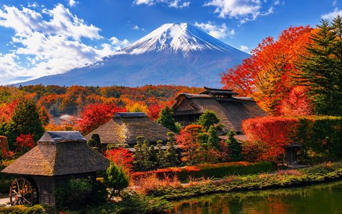Dagstur til Fuji-bjerget med daglig afgang fra Tokyo: Chureito Pagoda, Kawaguchiko Oishi Park, Oshino Hakkai, Lawson nærbutik