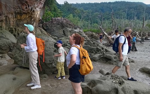 Kuching Bako National Park 2-Day Wildlife Adventure