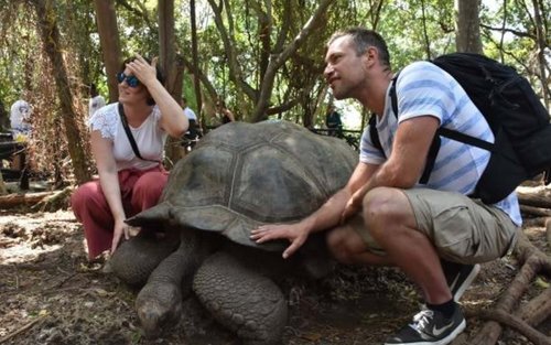 Zanzibári Börtönsziget és Teknős Menedékhely Privát Félnapos Túra