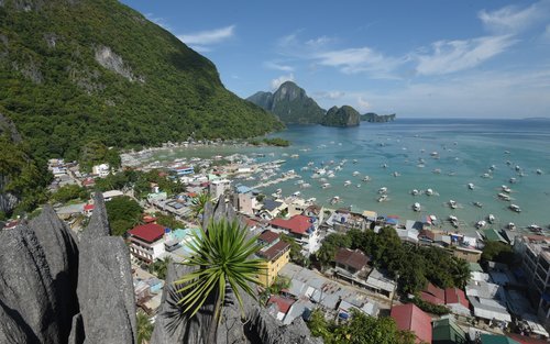 El Nido Via Ferrata Ticket (Canopy Walk Viewdeck and Dreamcatcher)