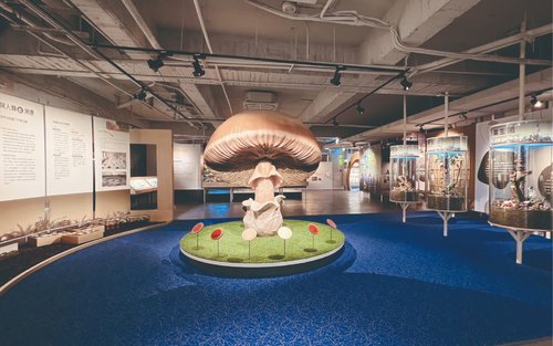 台中：霧峰菇類產學館門票