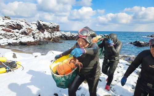 Jeju UNESCO Original Day Tour - Vivi un'esperienza Premium autentica