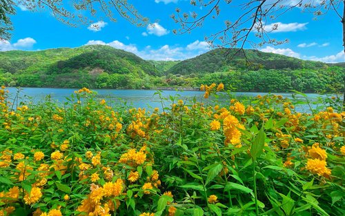Nami / Alpaca / Chuncheon (Select attractions) 10-Hour Private tour