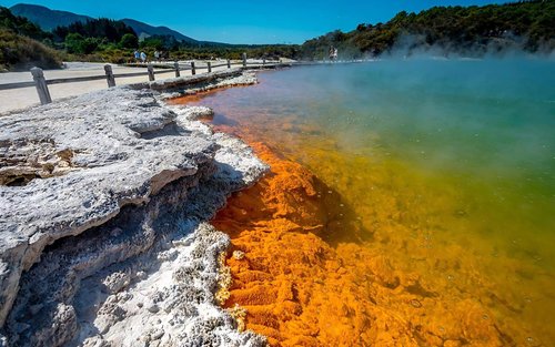 Buong-Araw na Paglilibot sa Waiotapu at Te Puia na may Maliit na Grupo