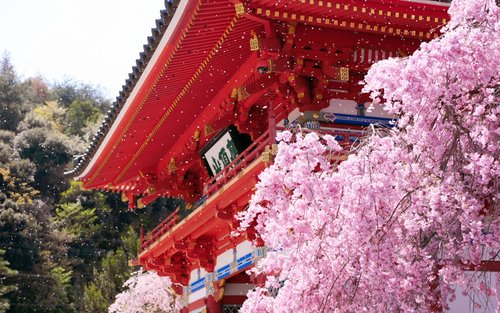 Katsuo-ji-Tempel
