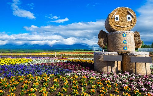 【Tour di un giorno in Hokkaido con due percorsi floreali】Biei Blue Pond × Furano × Shikisai no Oka (biglietto incluso) | Viste mozzafiato della Patchwork Road | Partenza da Sapporo