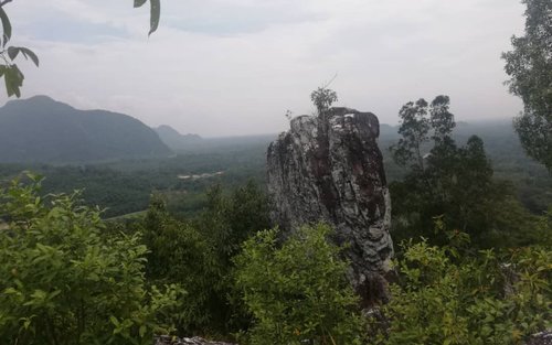 Jungle Trekking Experience in Ipoh