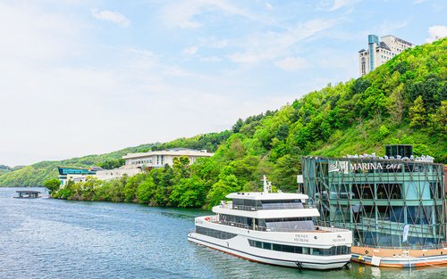 베고니아 새 정원 + 가평 크루즈 + 남이섬/자라섬 당일 투어