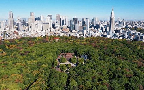 Tokyo: Meiji Shrine Walking Tour - Shintoism & Imperial System