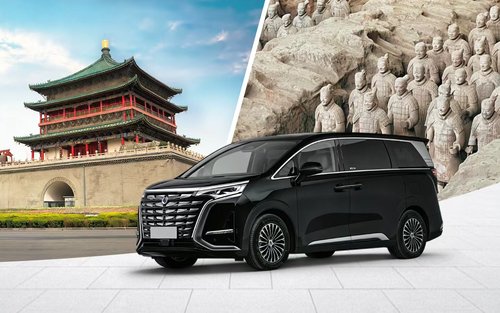 西安景点游览包车（中文/英文服务）