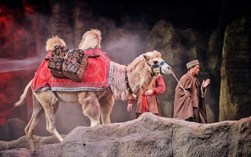 Xi'an Legende der Kamelglocken-Show Halbtagestour mit privatem Transfer