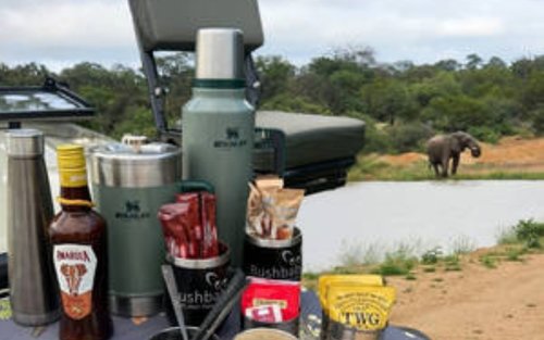 Blue Canyon Half-Day Small Group Sunrise Safari