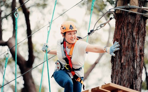 Tree Ropes Course in Pennant Hills