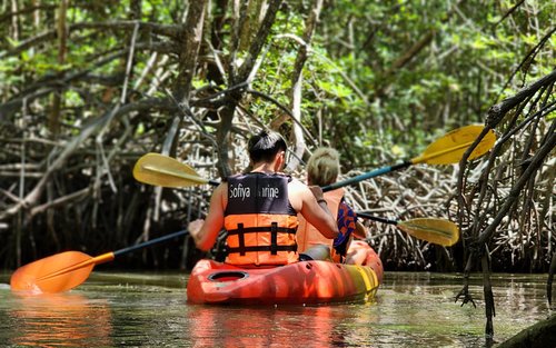 Phuket Half-Day Kayaking & Trekking with Thai Lunch