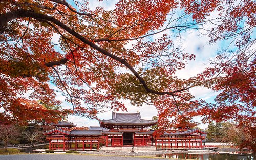 Kyoto Uji Matcha Experience & Nara Private 1-Day Tour