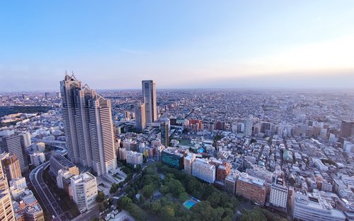 Tokyo 4-Hr Private Tour: Meiji Shrine & Shibuya