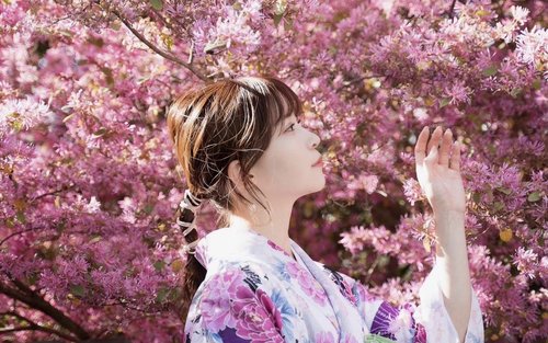 Fukuoka Kimono Rental(Dazaifu/Yanagawa)