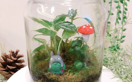 Taichung: Miniature Landscape Terrarium DIY Experience