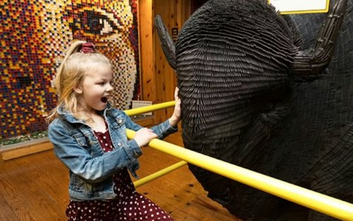 Ripley's Believe It or Not! Branson Ticket
