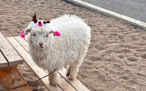 Isang araw na paglalakbay sa Xining Qinghai Lake + Chaka Salt Lake + Sun and Moon Mountain