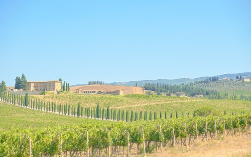 Chianti-Köstlichkeiten: Eine Geschichte zweier Weingüter mit einem Weinberg-Dinner