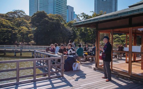Samurai History Tokyo Walking Tour with Samurai Book Author