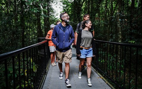 Excursió de mig dia al matí per la selva tropical de Daintree