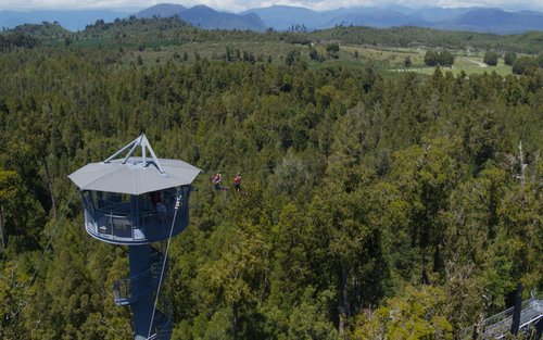 Arborismo e Passarela West Coast Tree Top Tower