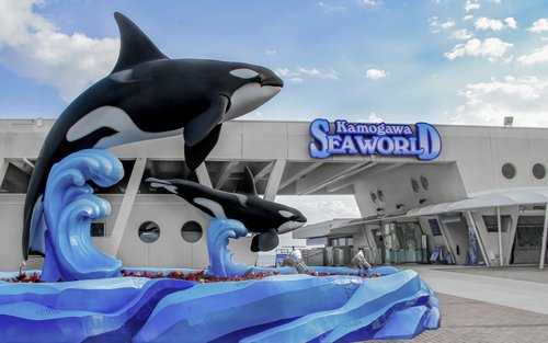 Kamogawa Sea World Ticket Admission Ticket in Chiba