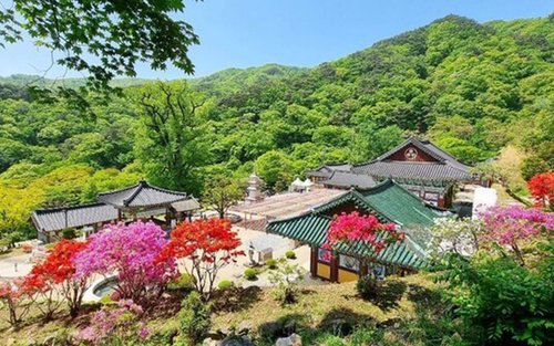 韓国の飛行ツアー（2026年）TOP10 | Klook 日本