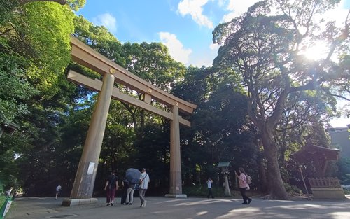 Tokyo Meiji Shrine Cultural Guided Walking Tour