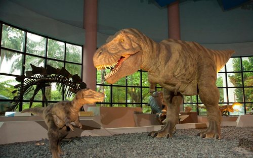 National Museum of Natural Science Ticket and Combo Ticket 