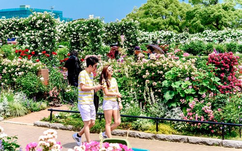 Yokohama Chinatown, Temple & Bayside Red Brick Warehouse WalkingTour