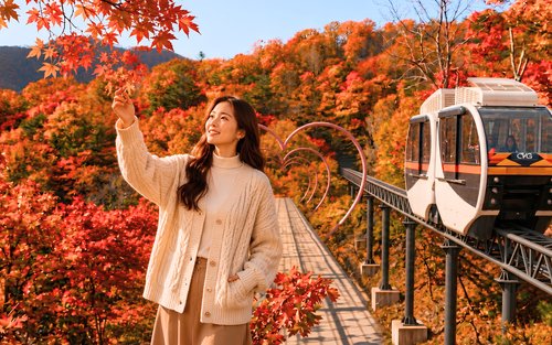 From Seoul: Hwadam Forest, Suwon Hwaseong & Jebudo Cable Car Tour