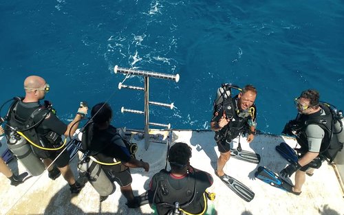 Ganztägiges Tauchabenteuer in Hurghada mit PADI 5-Sterne-Center