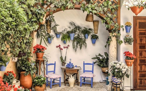 Popular Patios of Cordoba Guided Tour