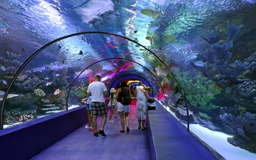 Eintrittskarte für das Antalya Aquarium und das Wachsfigurenkabinett