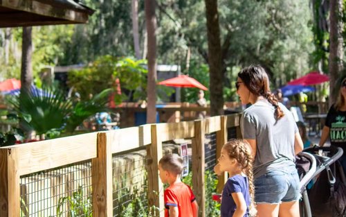 Vstupenka do zoo a botanické zahrady Central Florida v Sanfordu na Floridě